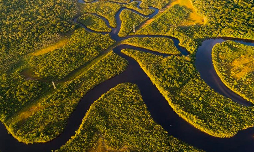 Amazon ormanlarında son 10 yılın en kötü bilançosu