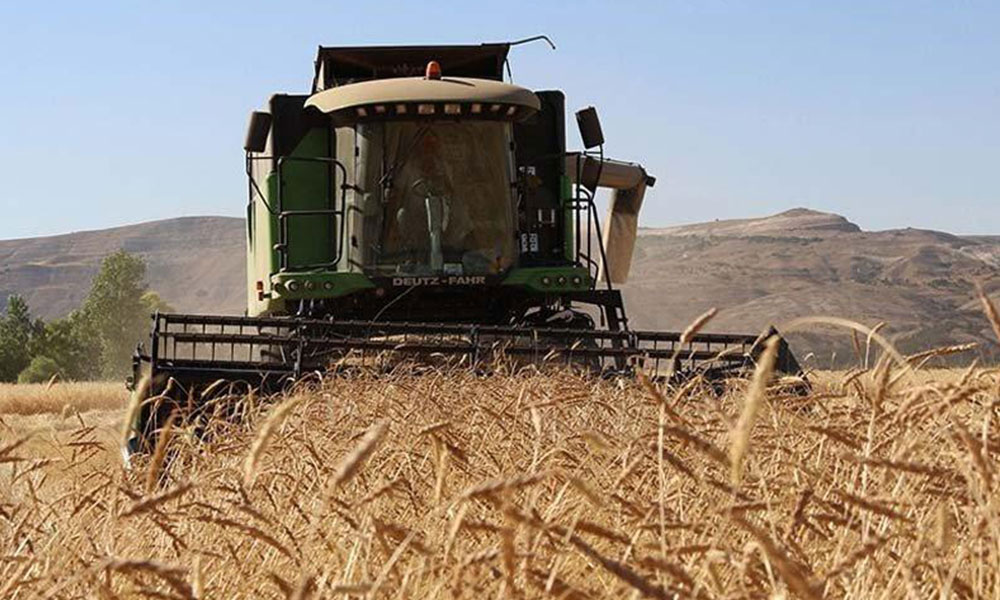 Tarımın içler acısı hali: ‘Çiftçilerin yüzde 92’sinin borcu nedeniyle ipoteği var’