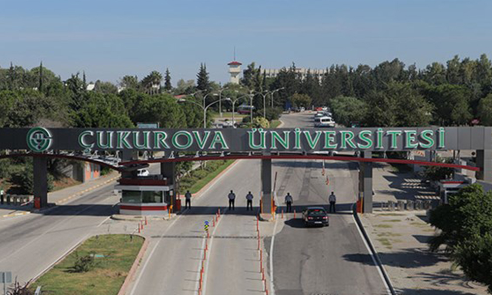 Çukurova Üniversitesi’nde taciz
