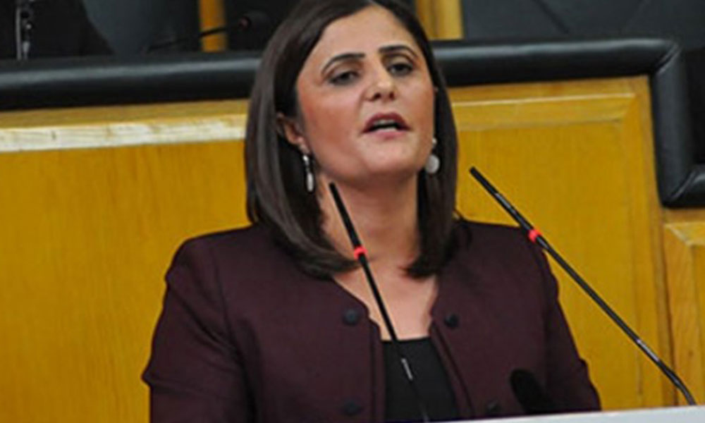 HDP Ağrı Milletvekili Taşdemir: Savcı Sayan’ı rakip olarak görmüyoruz