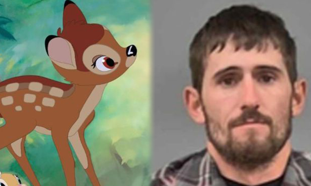Yüzlerce geyik öldüren avcıya, hapiste Bambi filmini izleme cezası