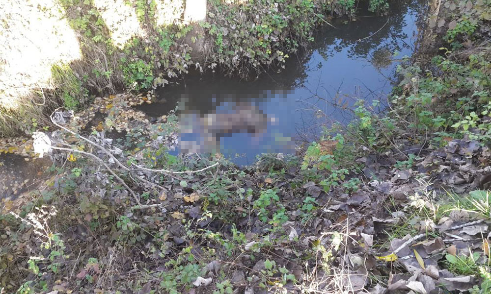 Ormanlık alandaki kanalda erkek cesedi bulundu