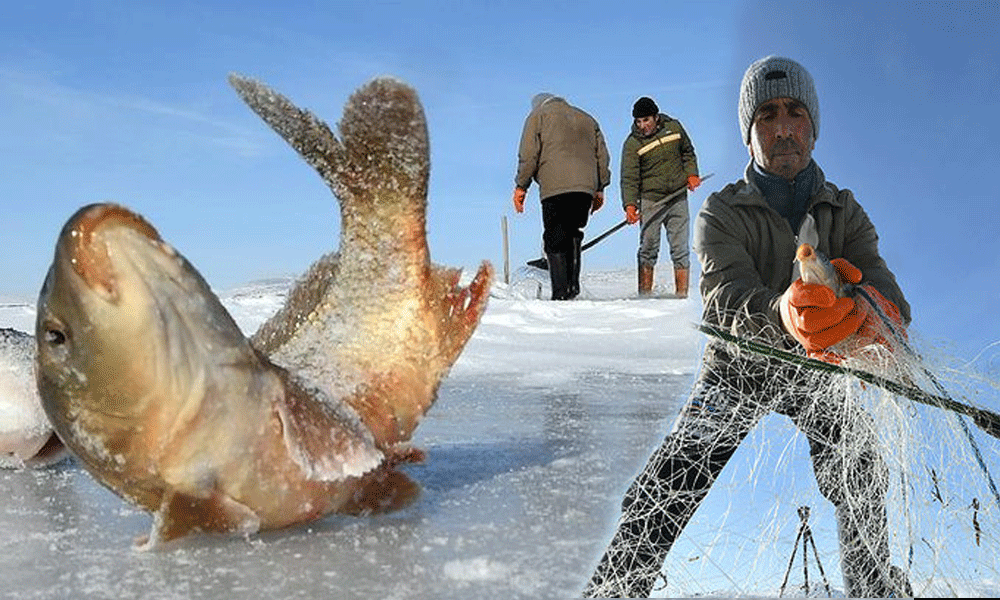 Çıldır Gölünde Eskimo usulü balık avlıyorlar