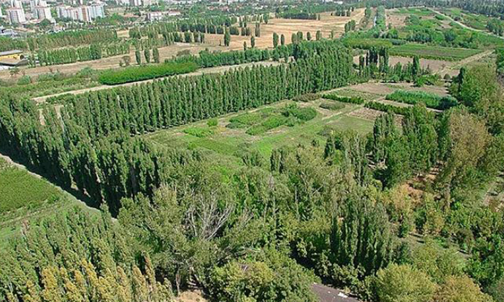 Atatürk Orman Çiftliği’ndeki imar planı değişikliğinde karar verildi