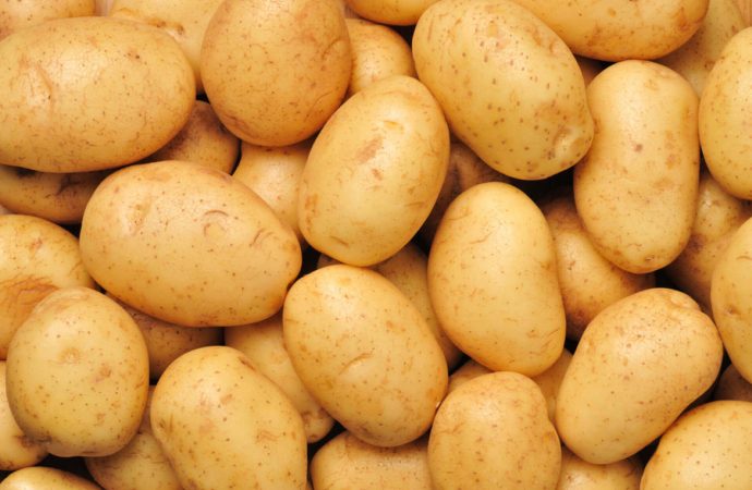 200 bin ton patates ithal edilecek!