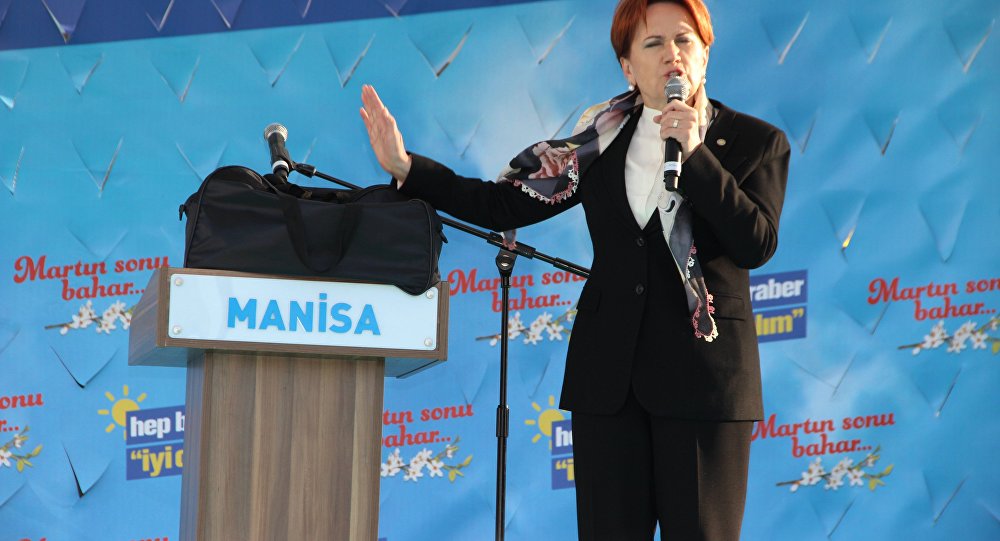 Meral Akşener: Bu çanta Pınarhisar’a giderken Erdoğan’ın elindeydi