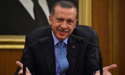 Erdoğan yumurta