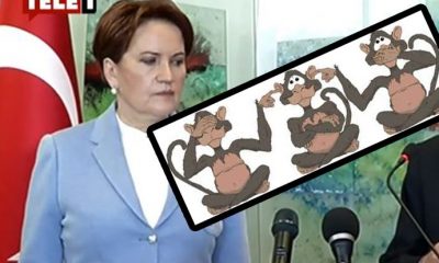 Meral Akşener Ambargo