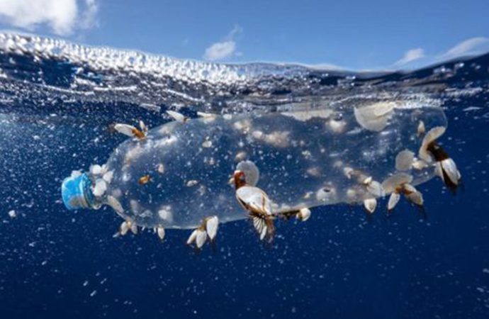 Greenpeace: Plastik atıkların yeni adresi Türkiye