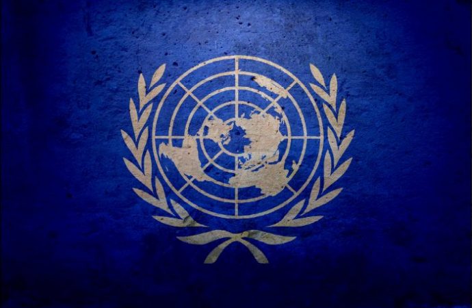 BM’nin Türkiye’deki insan hakları raporu: STK’ların olumsuz bildirimleri ön planda