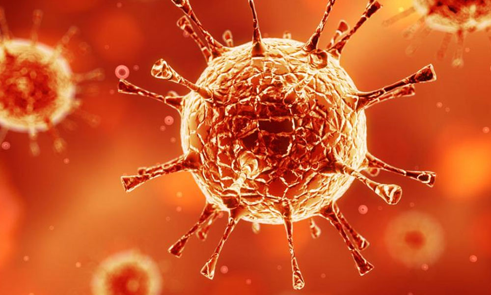 Türk bilim insanları 4 ölümcül virüs buldu!