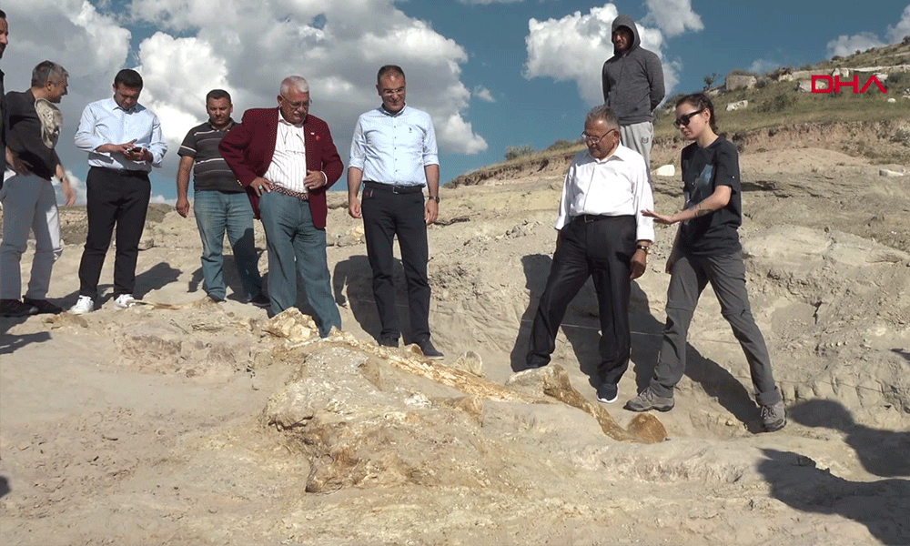 Kayseri’de 7,5 milyon yıllık yeni fosiller bulundu