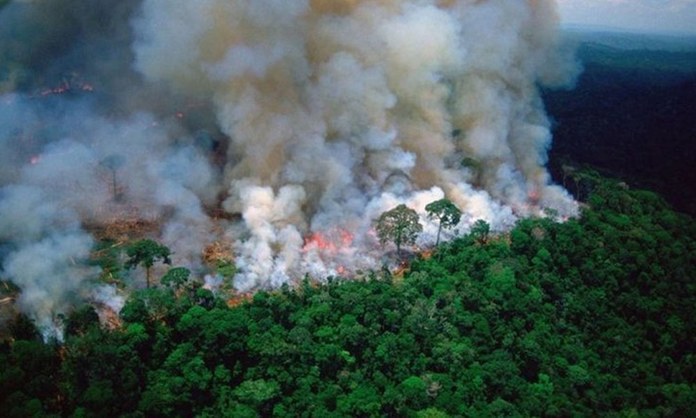 Dünyanın akciğeri Amazon yanıyor