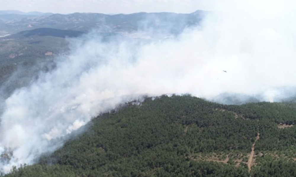 Bursa’da 9 noktada başlayan yangınla ilgili valilikten sabotaj açıklaması