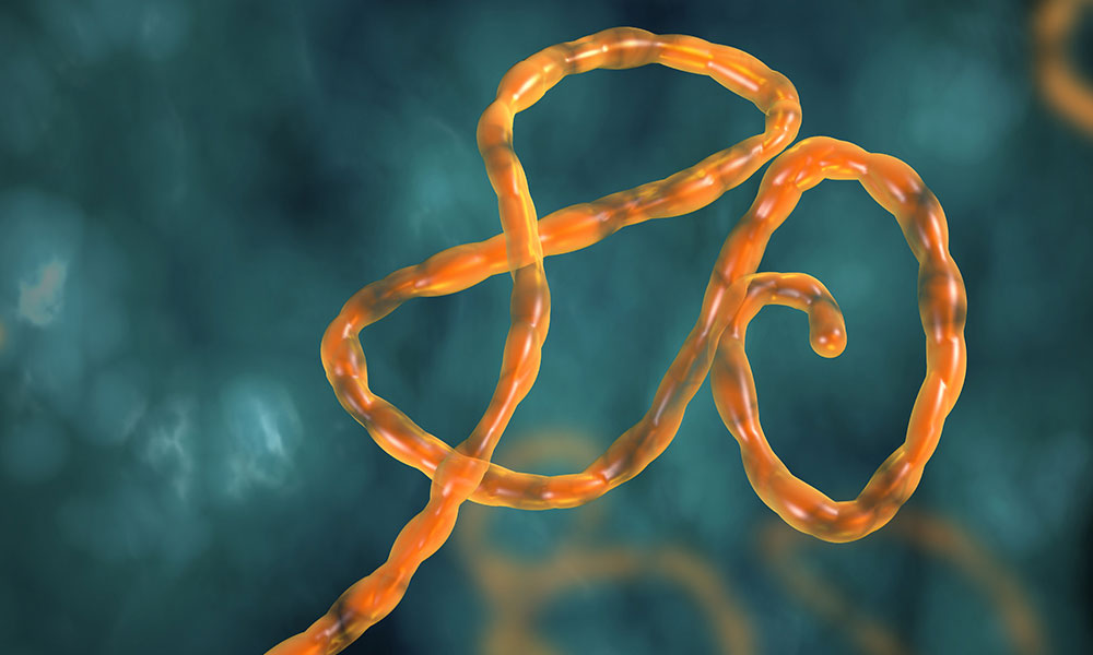 Binlerce can alan Ebola’ya çare bulundu