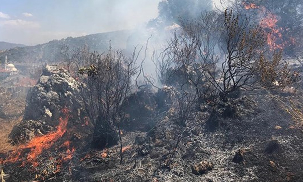 Fethiye’de orman yangını… Havadan ve karadan müdahale ediliyor