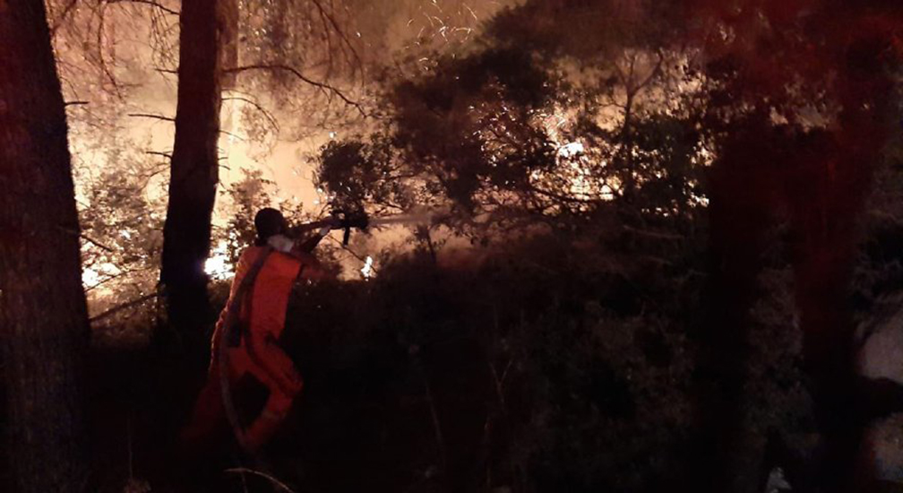 Antalya’da orman yangını! Evleri tehdit ediyor