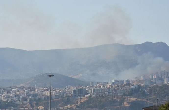 İzmir’de bir orman yangını daha başladı