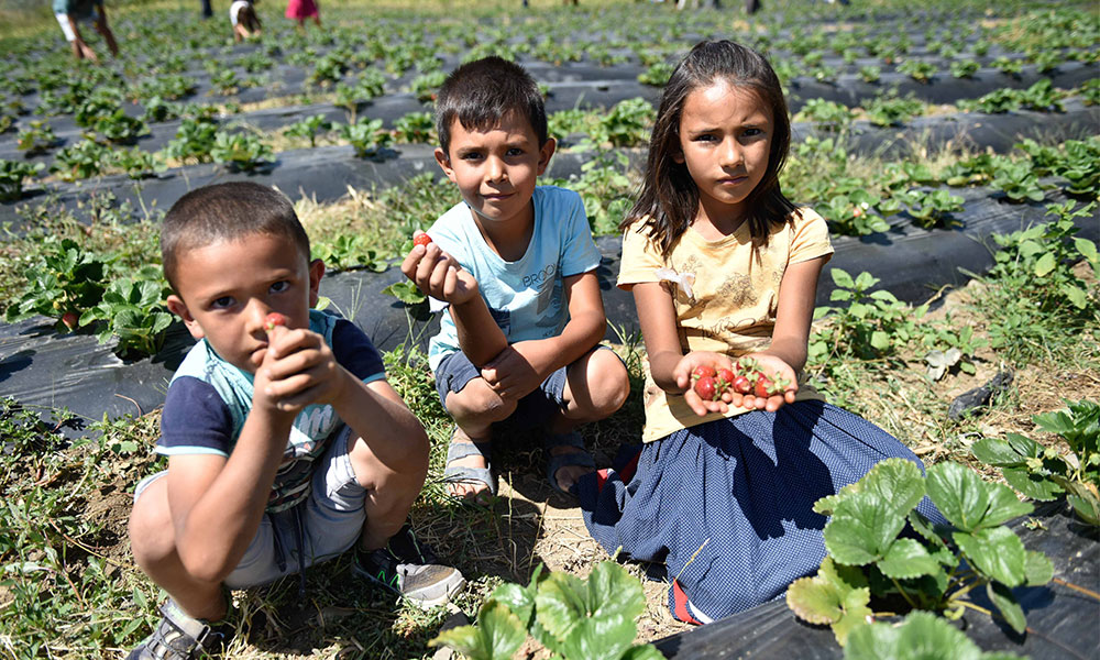 Başkan Zeydan Karalar, Adana’da tarımı güçlendirmek için yeni projeler üretiyor