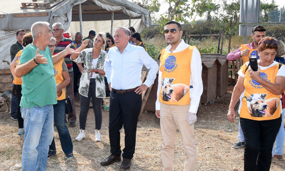 Seyhan Belediye Başkanı Akay’dan ‘Kısırlaştırma Merkezi’