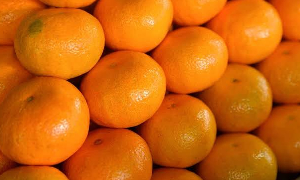 Rusya, Türkiye’den gönderilen 370 ton mandalinayı geri çevirdi