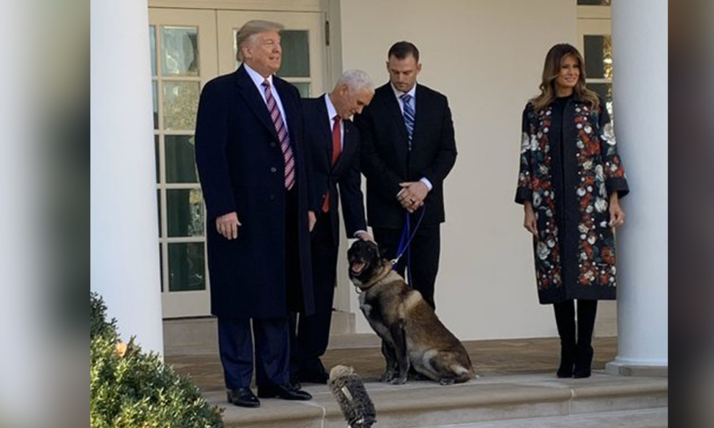 Trump’tan Bağdadi operasyonunda görevli köpeğe madalya