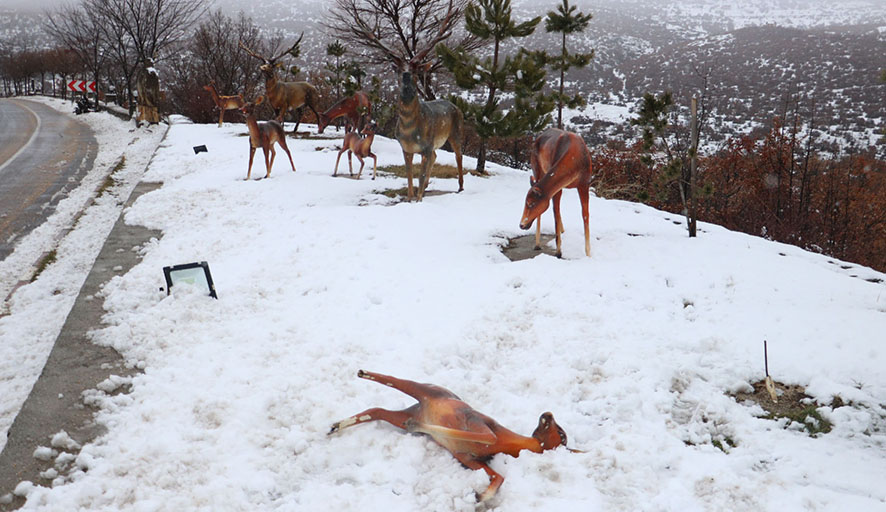 Ankara’da hayvan heykellerine saldırdılar
