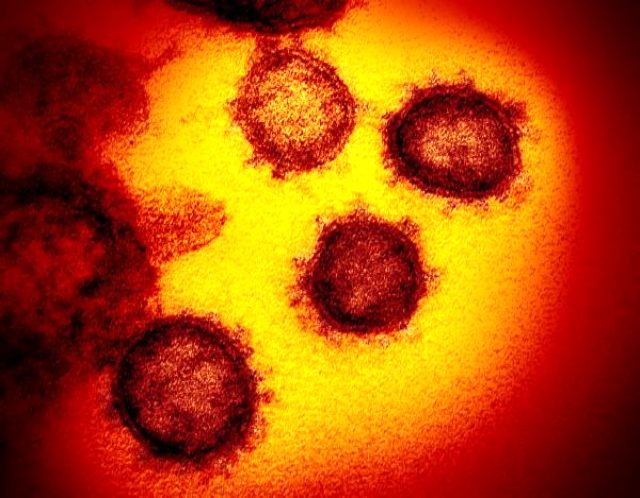 İşte 14 maddede koronavirüs efsaneleri