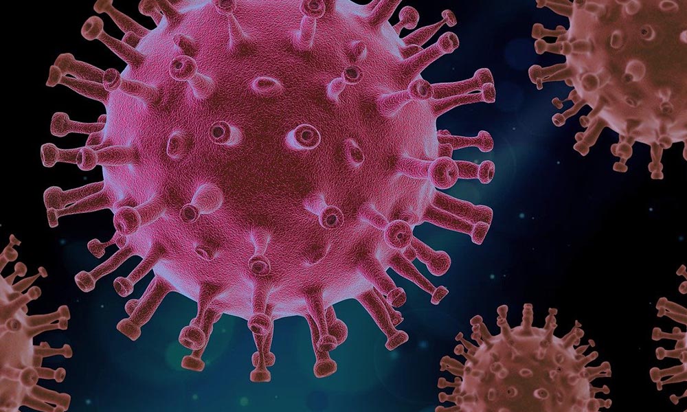 Bilim insanları koronavirüsün bağışıklık sistemine saldırdığını keşfetti!