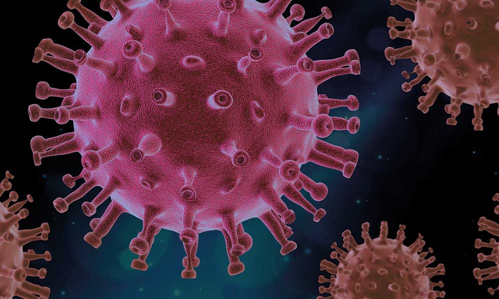 Koronavirüsün insana geçiş kaynağı hayvan için yeni iddia