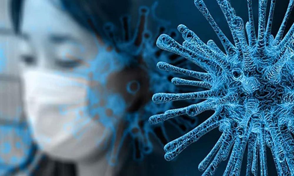 Kritik koronavirüs raporu: Bağışıklık kazanılana kadar kontrol edilemeyecek