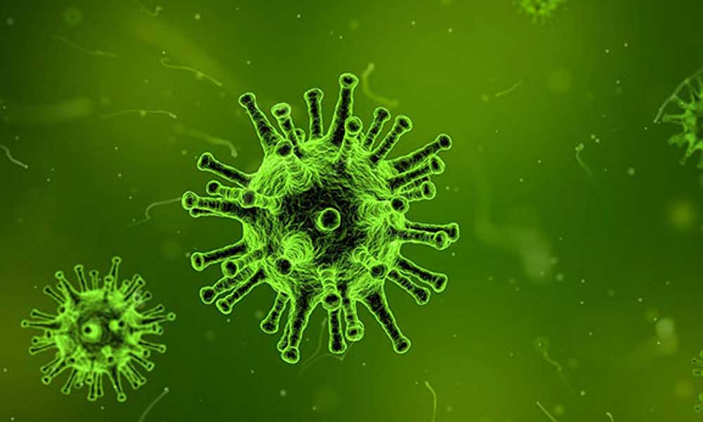 Türkiye’de koronavirüsten can kaybı 5 bin 630 oldu! İşte yoğun bakım sayısı artan iller