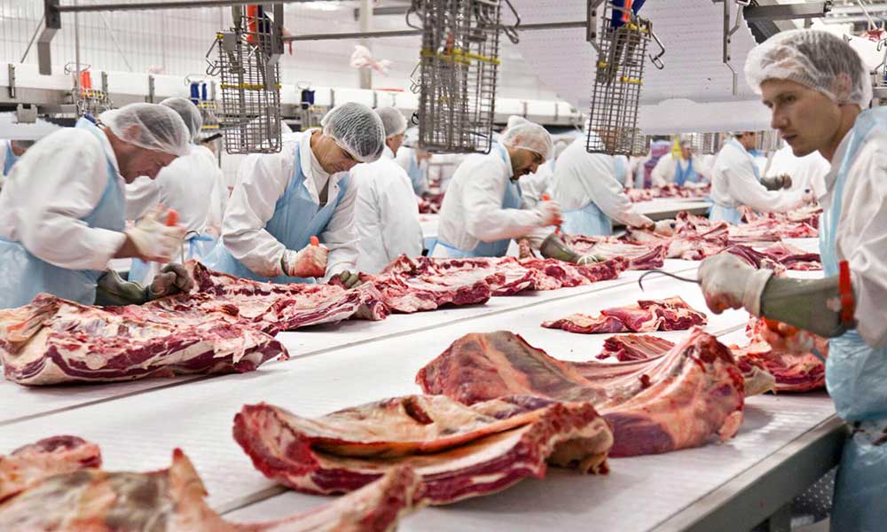 Almanya’daki et fabrikasında 1029 işçide koronavirüs tespit edildi