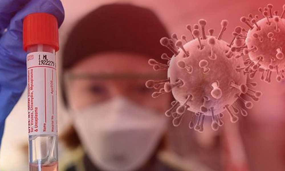 Koronavirüs ilk defa 3 boyutlu görüntülendi
