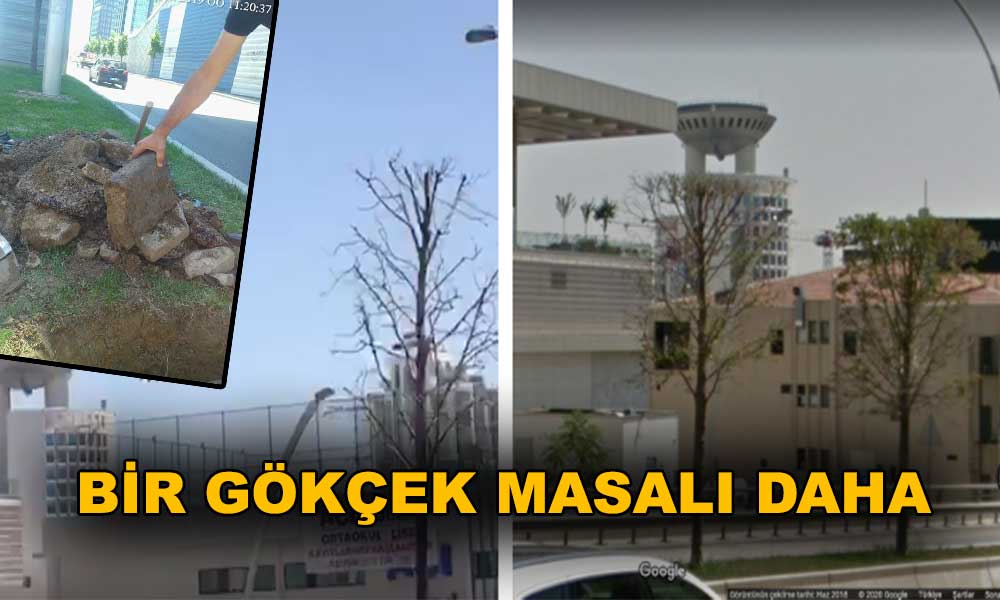 Ankara’nın ağaçlarını kim kuruttu tartışmasında son nokta
