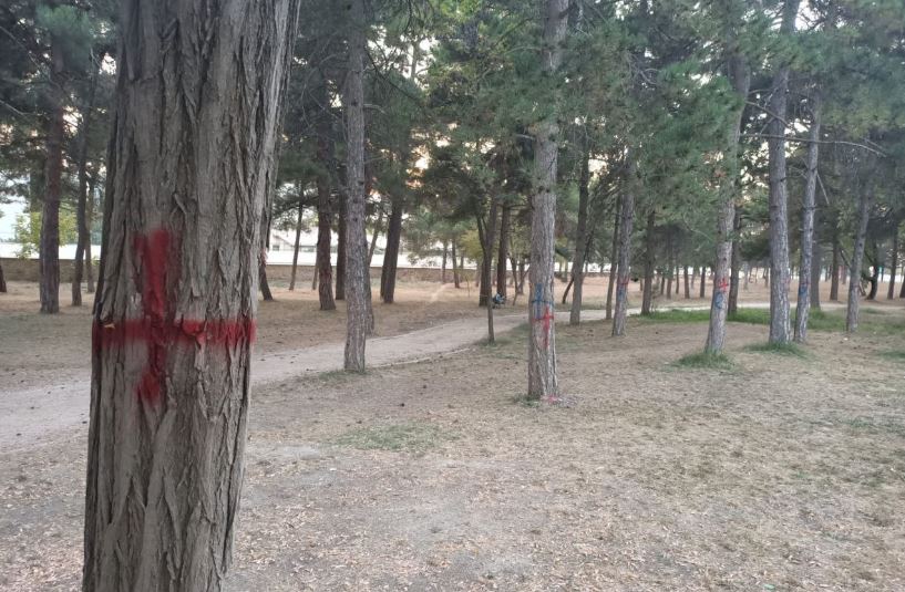 Bilecik’te Kuran kursu açılacağı gerekçe gösterilerek ağaçlar katlediliyor!