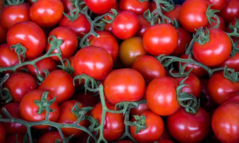 İşte bir litre mazot için çiftçinin satması gerek domates miktarı