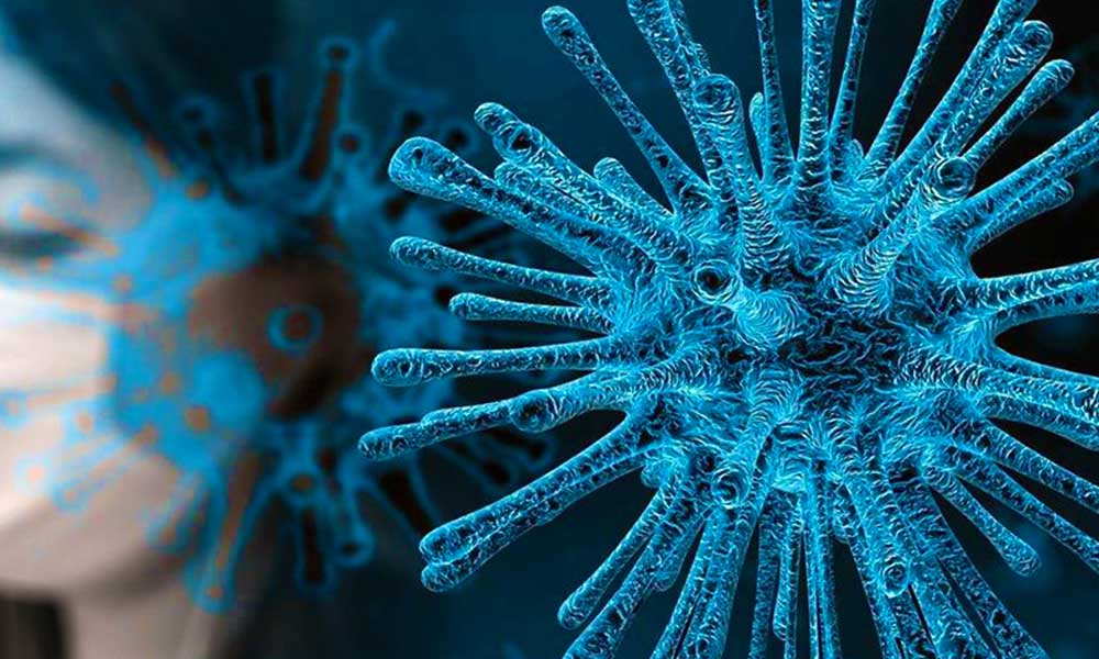 Türkiye’de koronavirüsten can kaybı 5 bin 891 oldu