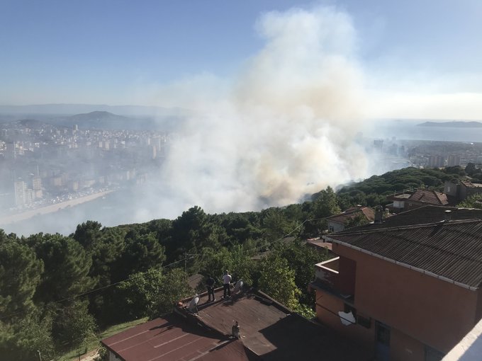  İstanbul Maltepe’de orman yangını