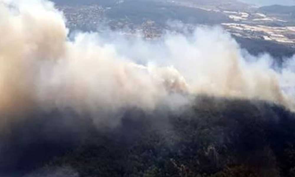 Ege’den orman yangını haberleri art arda geldi! İzmir, Bodrum, Muğla, Manisa…