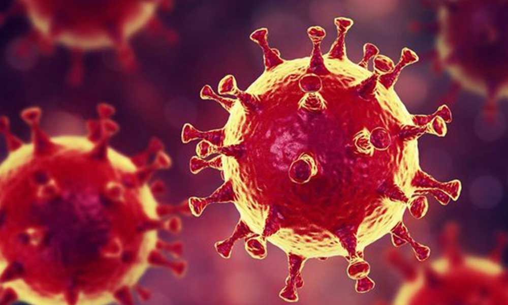 Bakan Koca koronavirüs verilerini açıkladı! Bin 721 yeni vaka tespit edildi