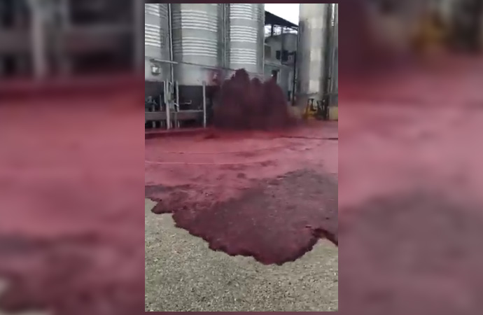 Tank patladı! 50 bin litre şarap boşa aktı…
