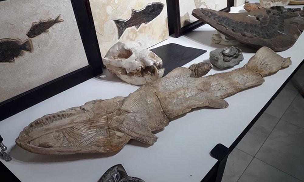 Adnan Oktar’ın evlerinden milyon dolarlık fosiller çıktı