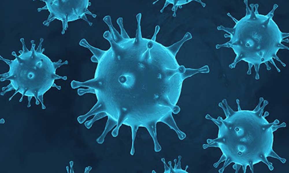 Günlük koronavirüs tablosu açıklandı! Bin 442 yeni ‘hasta’ tespit edildi