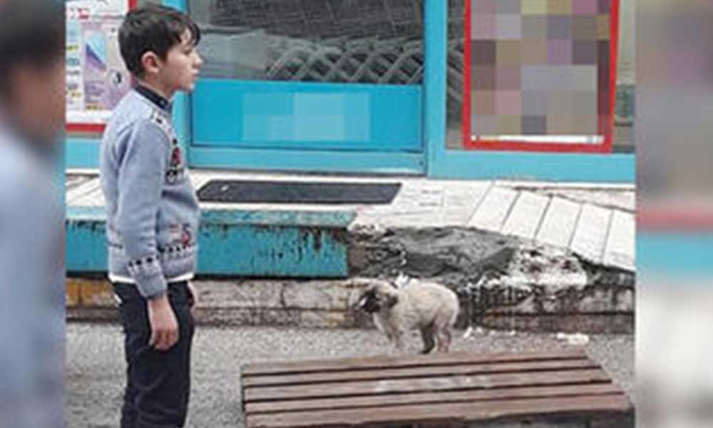 Şemsiyesiyle sokak köpeğini yağmurdan korudu