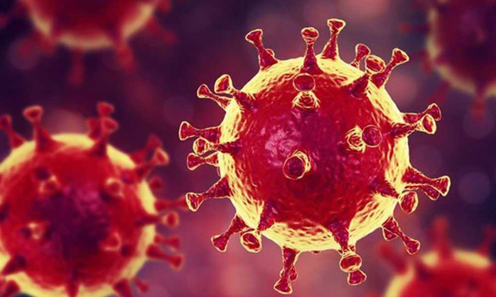 Son 24 saatte 1894 yeni koronavirüs ‘hastası’ tespit edildi