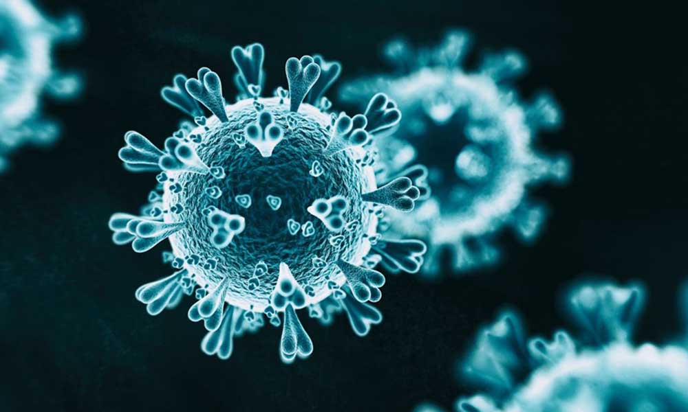 Koronavirüs kaynaklı toplam can kaybı 9 bin 950 oldu
