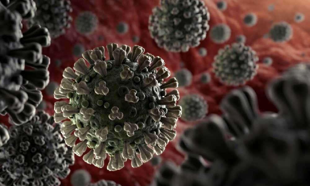 Koronavirüs nedeniyle 81 kişi daha hayatını kaybetti
