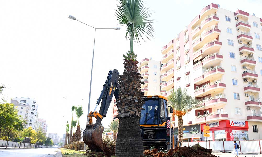 Forum katlı kavşağı projesinde ağaçlar da unutulmadı