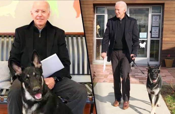 Biden’la birlikte Beyaz Saray’da ilk defa sahiplenilmiş bir köpek yaşayacak